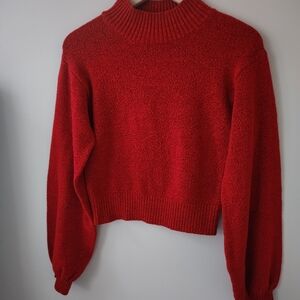Wild Fable Cozy Red Turtleneck Sweater